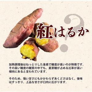 干し芋 紅はるか 1kg箱 お徳用 無選別 バ...の詳細画像5