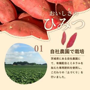 【訳あり】茨城県産 干し芋 ほしあかね シロタ...の詳細画像5