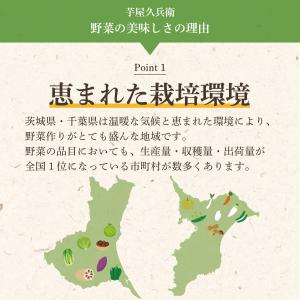 【冷蔵便】野菜セット 10品目 選べるたまご ...の詳細画像3