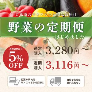 【冷蔵便】野菜セット 10品目 選べるたまご ...の詳細画像1