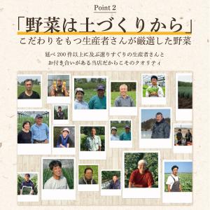 【冷蔵便】野菜セット 10品目 選べるたまご ...の詳細画像4