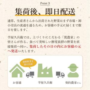 【冷蔵便】野菜セット 10品目 選べるたまご ...の詳細画像5