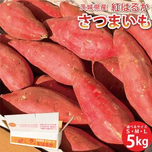 茨城県産 さつまいも 追熟　紅はるか S,Mサイズ 5kg箱｜imoyakyubey