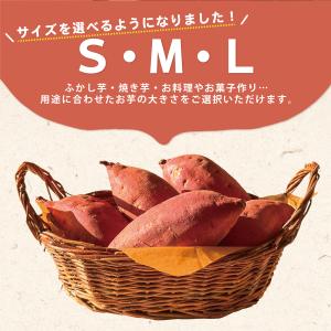 茨城県産 さつまいも 追熟 紅はるか 各S,M...の詳細画像1