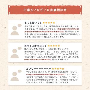 茨城県産 さつまいも 追熟 紅はるか 各S,M...の詳細画像4