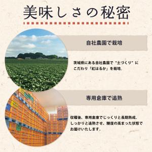 茨城県産 さつまいも 追熟 紅はるか 各S,M...の詳細画像5