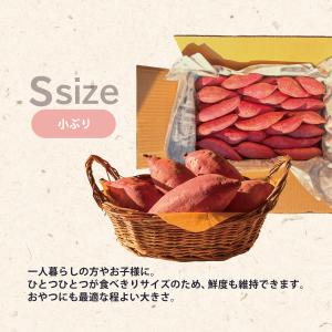 茨城県産 さつまいも 追熟 紅はるか 各S,M...の詳細画像2