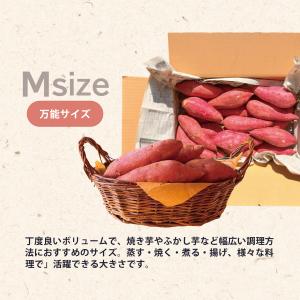 茨城県産 さつまいも 追熟 紅はるか 各S,M...の詳細画像3