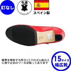 フラメンコシューズ釘なし 練習用 幅広め 入門...の詳細画像1