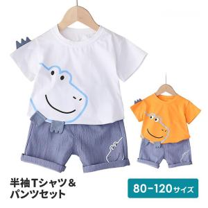 子供服 男の子 上下セット ポッキリ ズボン シャツ 半袖 安い 子ども 子供 キッズ ベビー Tシャツ 恐竜 80 90 100 110 120 tdm｜imp-shop