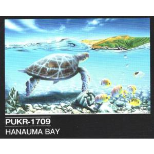 人気のハワイアンキャンバスピクチャー パネル絵　"Hanauma Bay" PUKR1709 Yoshiｋatsu Kuriyama　栗山義勝｜imperialsurf