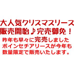 クリスマスリース 玄関 おしゃれ 造花 豪華 ...の詳細画像1