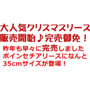 クリスマスリース 玄関 おしゃれ 造花 クリス...の詳細画像1