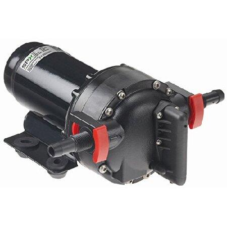 Johnson Pumps 10-13406-107 Aqua Jet WPS 5.2 Water ...