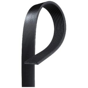 Gates k081223 V - 並行輸入品｜import-express-net