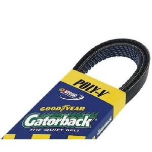 Continental Elite 4060915 poly-v /サーペンタインベルト 並行輸入品｜import-express-net