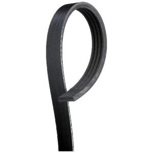 ACDelco 4 K378 Professional v-ribbedサーペンタインベルト 並行輸入品｜import-express-net