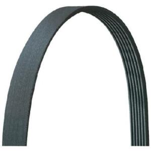 Dayco Drive Rite サーペンタインベルト 5040347DR 並行輸入品｜import-express-net