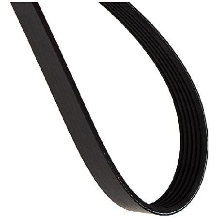 ACDelco 6 K841 Professional v-ribbedサーペンタインベルト 輸入品