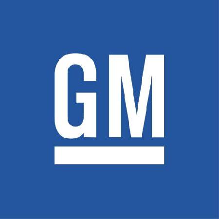 純正 GM 25824827 ドアモールディング 後部 下部 並行輸入品
