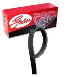 Gates Power Steering Micro-V Serpentine Belt compatible with Honda Civic 1.7L L4 2001-2005 並行輸入品｜import-express-net