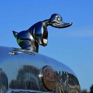 ENODS Angry Duck Hood Ornament, Exquisite 3D Car Bonnet Ornament, Motorcycle Decoration, Bar Pub Club Wall Decor, Room Styling Accessories, 並行輸入品｜import-express-net