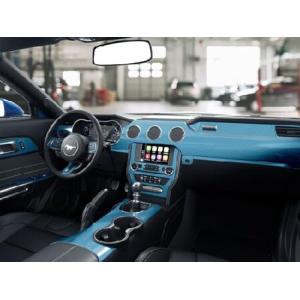 Rvinyl ダッシュキット デカルトリム フォードマスタング2010-2014対応 - カーボンファイバー(3Dブルースカイ) 並行輸入品｜import-express-net