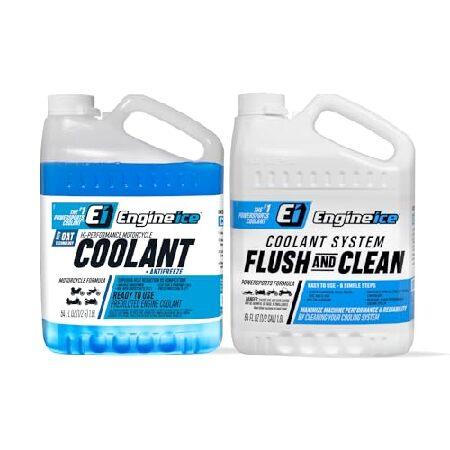 Engine Ice Flush and Clean and Motorcycle Combo Ki...