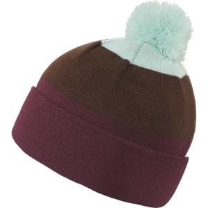 ダカイン (DAKINE) メンズ ニット 帽子 Jackson Beanie (Grape Vine/Pipestone/Turtledove)｜import-garage