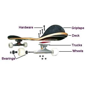 【並行輸入品】Dogtown Jackson ...の詳細画像3