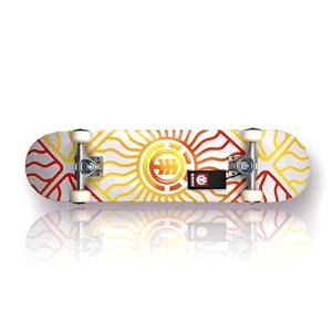 【並行輸入品】Element Solar Vi...の詳細画像1