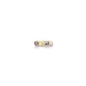 【並行輸入品】Element Solar Vi...の詳細画像2