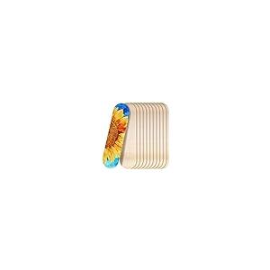 【並行輸入品】12 Pack Blank Sk...の詳細画像2