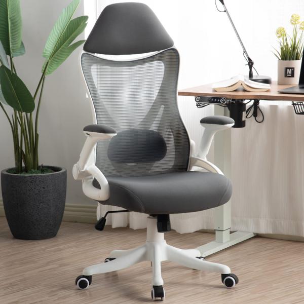 Homedot Office Chair with Arms,Ergonomic Home Offi...