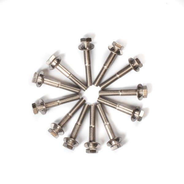 【並行輸入品】BAUM MFG インテークマニホールドボルトセット スモールブロックフォード   S...