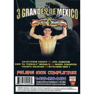 ボクシング名勝負選DVD28 チャベス対ガマチ...の詳細画像1