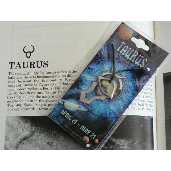 十二星座ペンダント　おうし座（金牛宮）