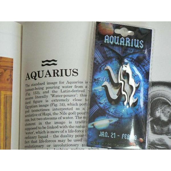 十二星座ペンダント　みずがめ座（宝瓶宮）