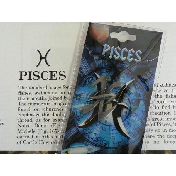 十二星座ペンダント　うお座（双魚宮）