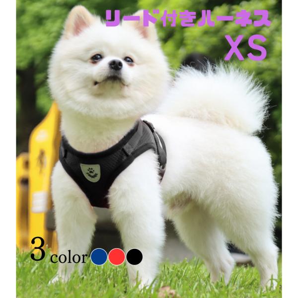 ハーネス 小型犬 リード セット XSサイズ 散歩 グッズ ペット用品 反射板 マジックテープ 胴輪