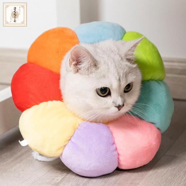 エリザベスカラー 犬 猫 介護 手術 ドーナツ 花  ペット