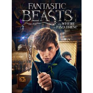 Fantastic Beasts and Where to Find Them [※日本語無し] (輸入版)の商品画像