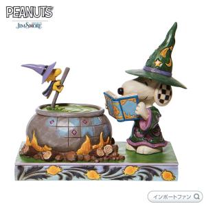 ジムショア スヌーピーがウッドストックに花をプレゼントしている置物