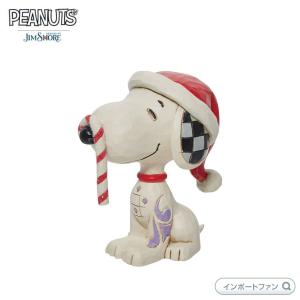 SNOOPY（スヌーピー） ジムショア スヌーピースケルトン ミニ