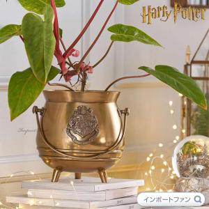 Disney（ディズニー） エネスコ ハリーポッター ホグワーツ魔法魔術