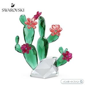 スワロフスキー クリスタル・フラワーズ サボテン デザートピンク 花 置物 5426805 Swarovski｜importfan