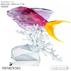 SWAROVSKI（スワロフスキー） カメ 亀 Swarovski Asian Symbols