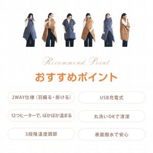 【最大P10倍】 電気毛布 掛け敷き USB ...の詳細画像2