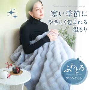 【最大P10倍】 電気毛布 ふわとろ毛布 18...の詳細画像1