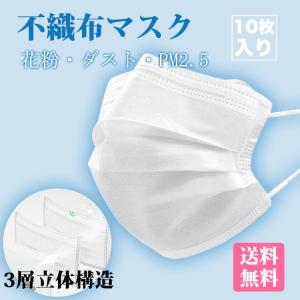 マスク 在庫あり 不織布マスク 10枚入り サージカルマスク ホワイト 白 大人用 三層構造 不織布 ウイルス 予防抗菌 花粉対策 飛沫防止 送料無料